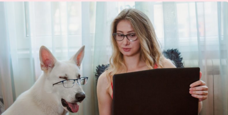 Professional working remotely with a dog beside her